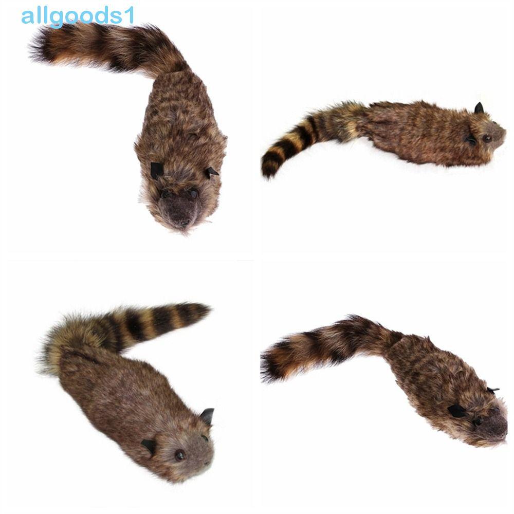 ALLGOODS Guaxinim Em Movimento Realista , Adereços De Mágico , Magia De Alimentada Por Mola , Mentalismo