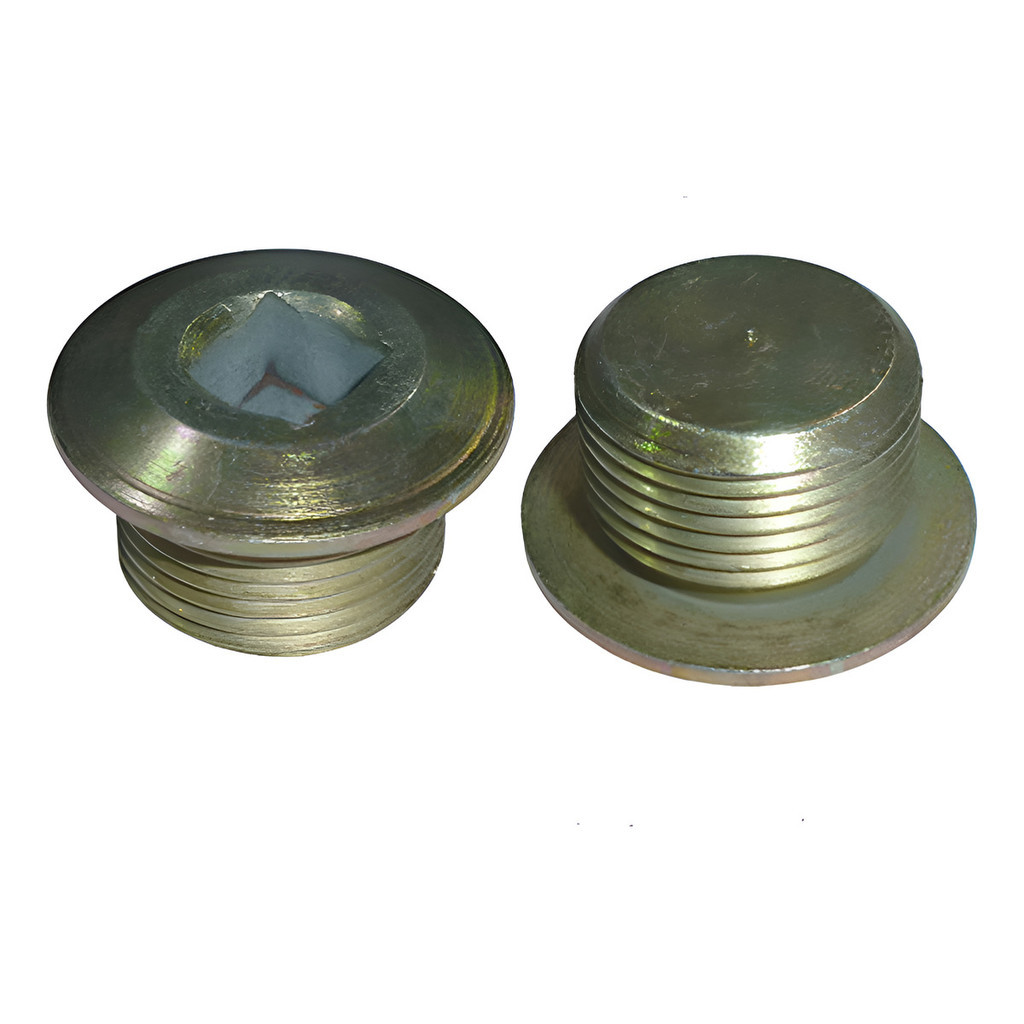 Cx C\3 Bujao Carter Motor 22x1,5mm Vw Worker/constellation