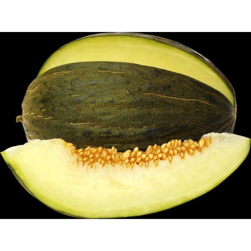 150 Sementes de Melão Pele de Sapo Super Doce. sementes novas