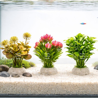 Kit 2 Plantas De Aquário Coloridas 10cm Para Decorações Enfeites