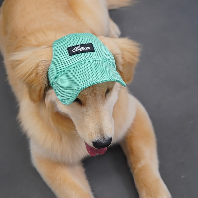 Boné De Beisebol Respirável Para Cães Com Furos As Orelhas-Chapéu Legal Animais De Estimação De Verão Golden Retrievers E Corgis , Cor Sólida , Lavagem Das Mãos