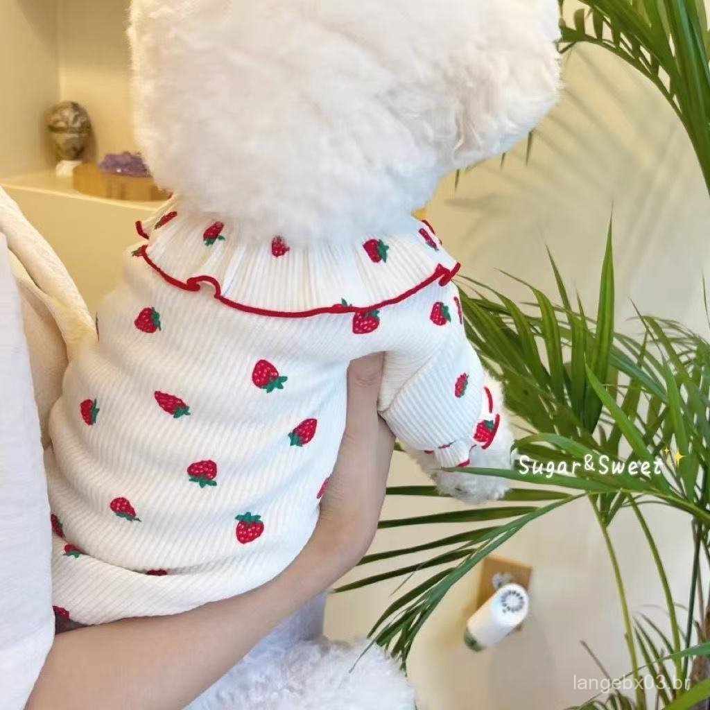 Camiseta de Morango para Pets para Teddy, Bichon, Poodle, Cães Pequenos e Gatinhos - Vestuário de Primavera e Outono