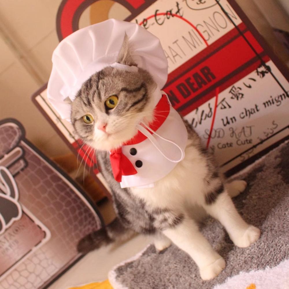 TKEY Pet Cozinhar Rei Chapéu Roupas De Chef Chapéus Conjunto Gato Cão Transformação Vestido Bonito Foto Decoração Traje 