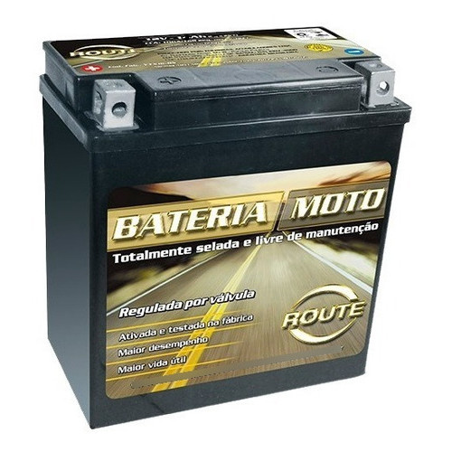 Bateria Thiumph Tiger 1050 955 Daytona Ytx14-bs Route