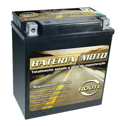 Bateria Thiumph Tiger 1050 955 Daytona Ytx14-bs 13Ah Route
