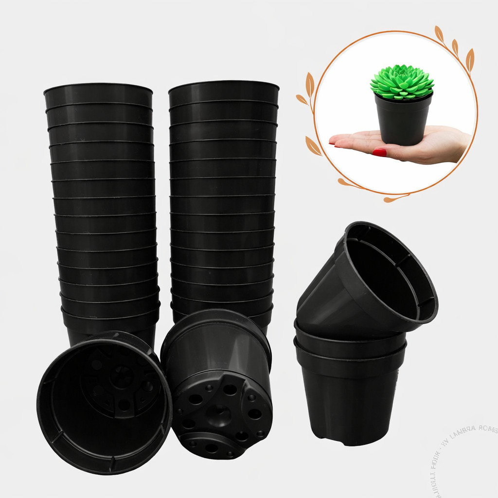 Kit 100 vaso para plantas na cor Preta pote 6 Cactos Suculentas Preto