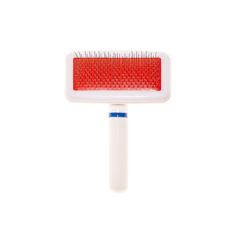 Rasqueadeira Pet P para Cães e Gatos Escova Tira Pelos Desembaraçador Dentes de Aço