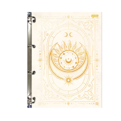 Caderno Argolado Colegial 80 Folhas 90g/m²-JANDAIA Capa:Mystic