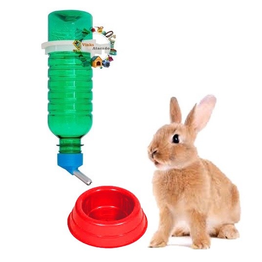 Kit Bebedouro E Comedouro Para Coelho Mini Coelho Chinchila Porquinho da Índia 290ml em Oferta na Shopee