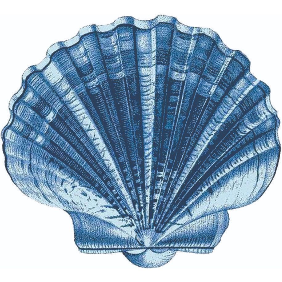 DISPLAY MDF CONCHA FUNDO DO MAR AZUL em Oferta na Shopee