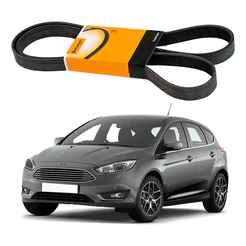Correia Alternador Focus 1.6 16v 2016 A 2019