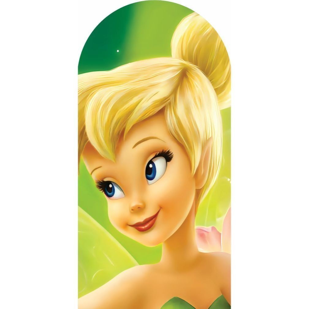 PAINEL DE FESTA TINKER BELL OU SININHO ROMANO VER 2x1 EM TECIDO SUBLIMADO