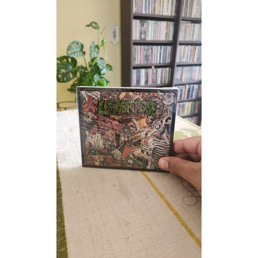 Cd - Leptospirose Tatuagem De Coqueiro Estandar