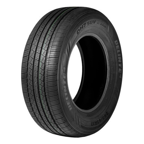 Pneu Delinte Aro 26 295/30R26 114W xl DS8 Desert Storm II