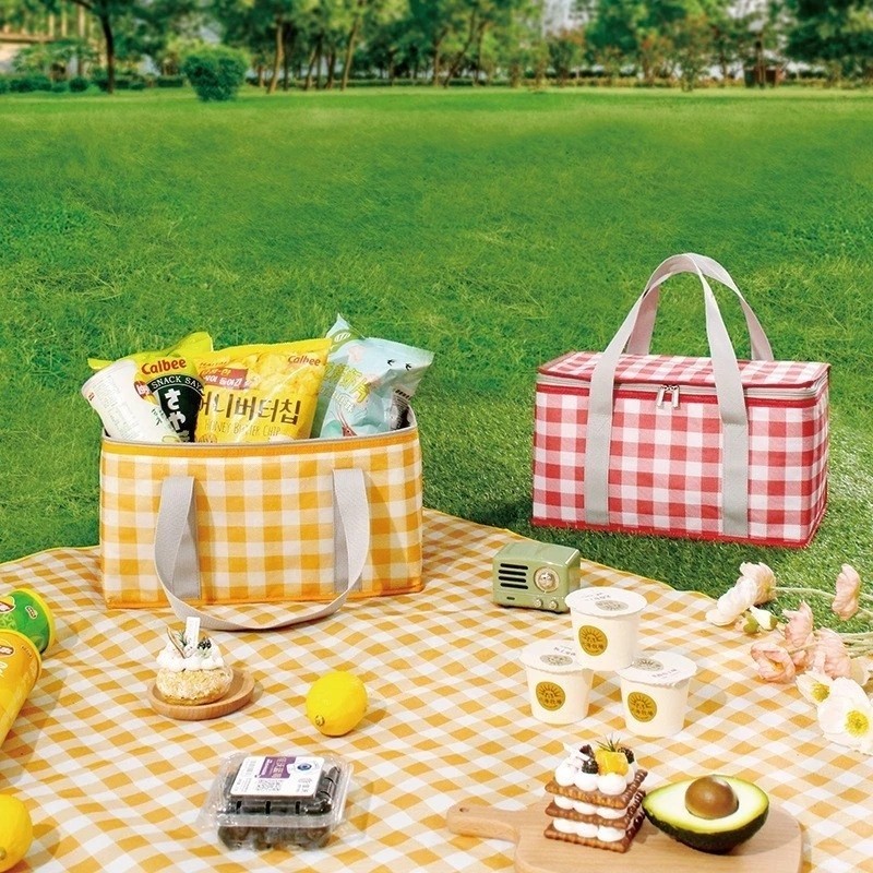 Bolsa Térmica Conserva Alimentos Bebidas Gelo Lanche Praia Viagem Garrafa