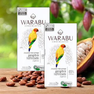 KIT 2 UNID CHOCOLATE VEGANO ORGÂNICO GENGIBRE LIOFILIZADO 65% CACAU 25g