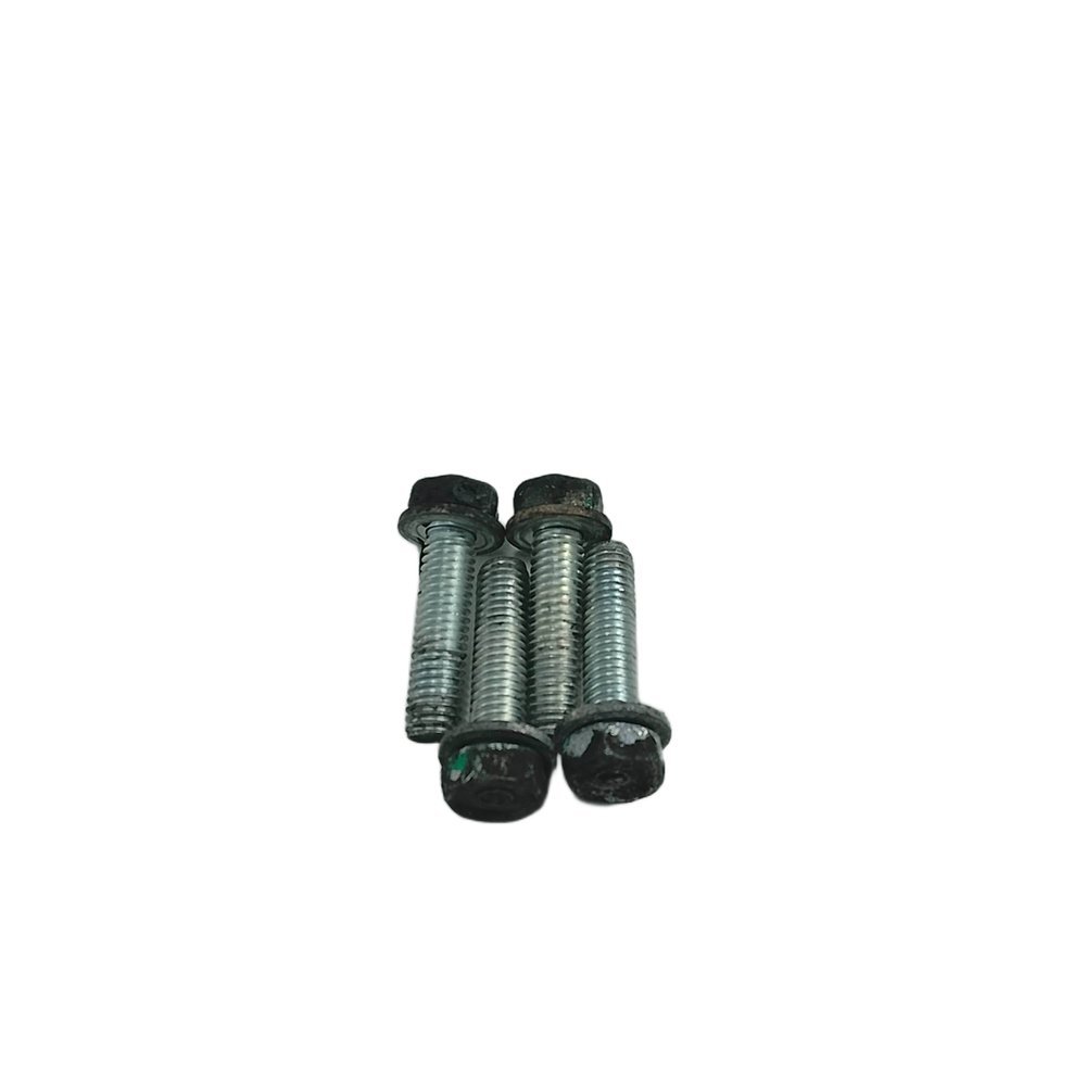 Kit Parafuso Flauta Bico Injetor Honda Cb 600f Hornet 08-11