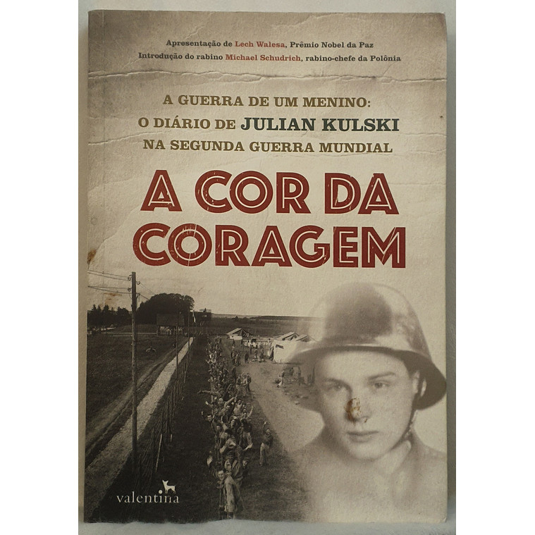 Livro A Cor da Coragem - Clóvis Marques - Editora Valentina