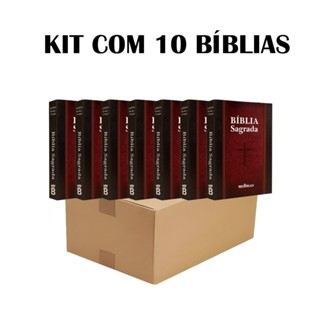 Kit 10 Biblias Sagrada Para Evangelismo - Ed. Promessas - Tradicional em Oferta na Shopee