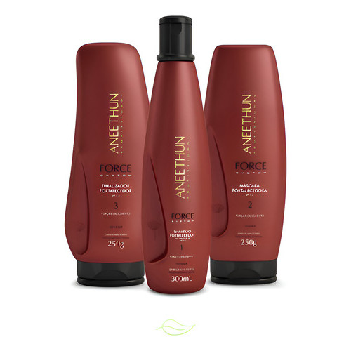 Kit Aneethun Force System Shampoo, Máscara E Finalizador