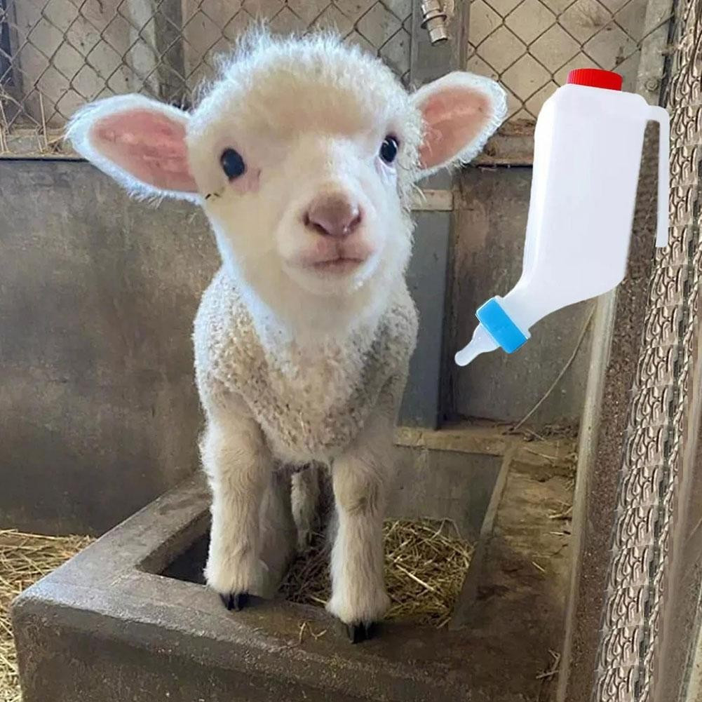 Adequado para animais, porcos, cães, ovelhas e gatos, mamadeira com bico invertido, equipamento de alimentação para anim