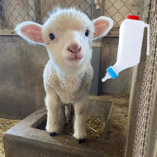 Adequado para animais, porcos, cães, ovelhas e gatos, mamadeira com bico invertido, equipamento de alimentação para anim