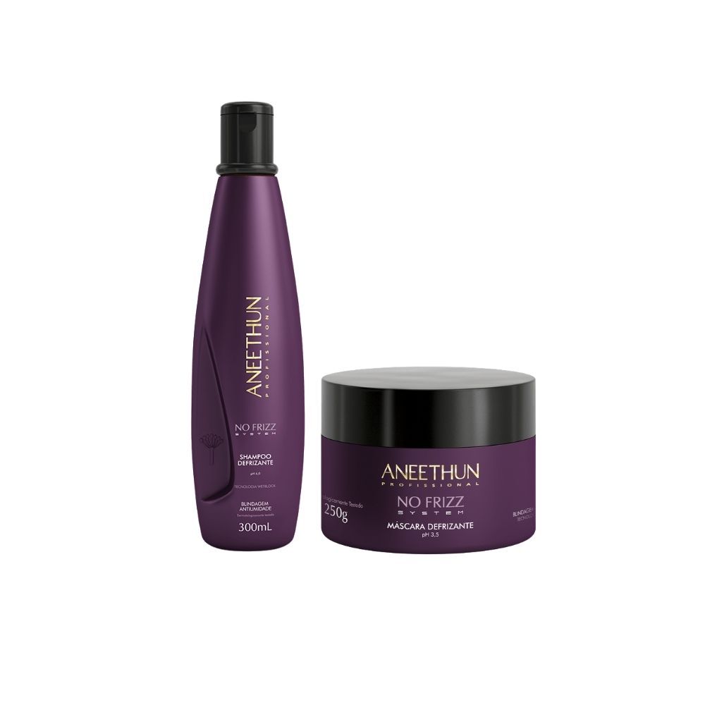 Kit Aneethun No Frizz System Tratamento Antifrizz Shampoo 250ml Máscara 300g