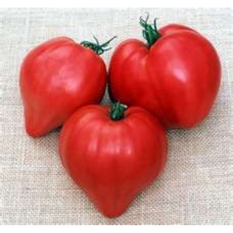200 Sementes de Tomate Coração de Boi. germinação rápida germinação rápida