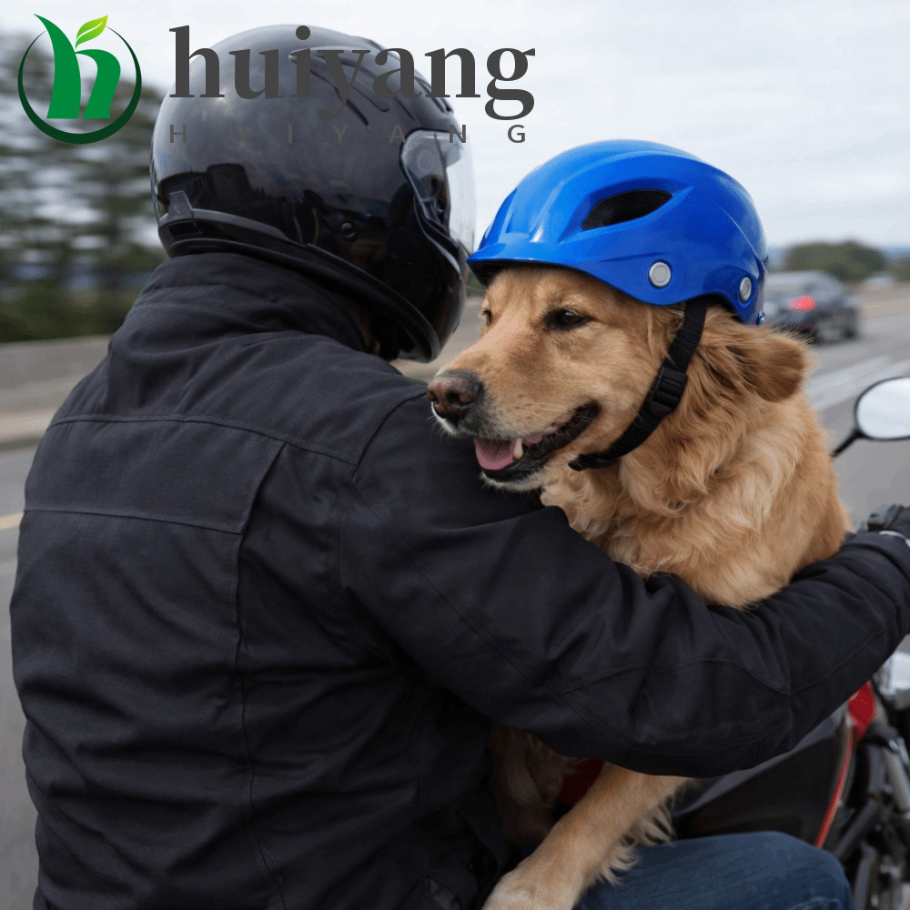 Capacete Para Cachorro HUIYANG , De Motocicleta Animais De Estimação Com Ajuste Confortável De Cor Sólida Plástico Ajust