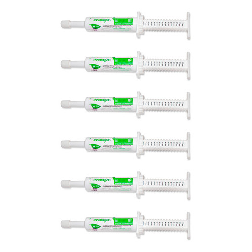 Kit 6 Prebiótico & Probiótico Pet Equilibra Flora Intestinal Diarreias Fezes Moles Dor Abdominal