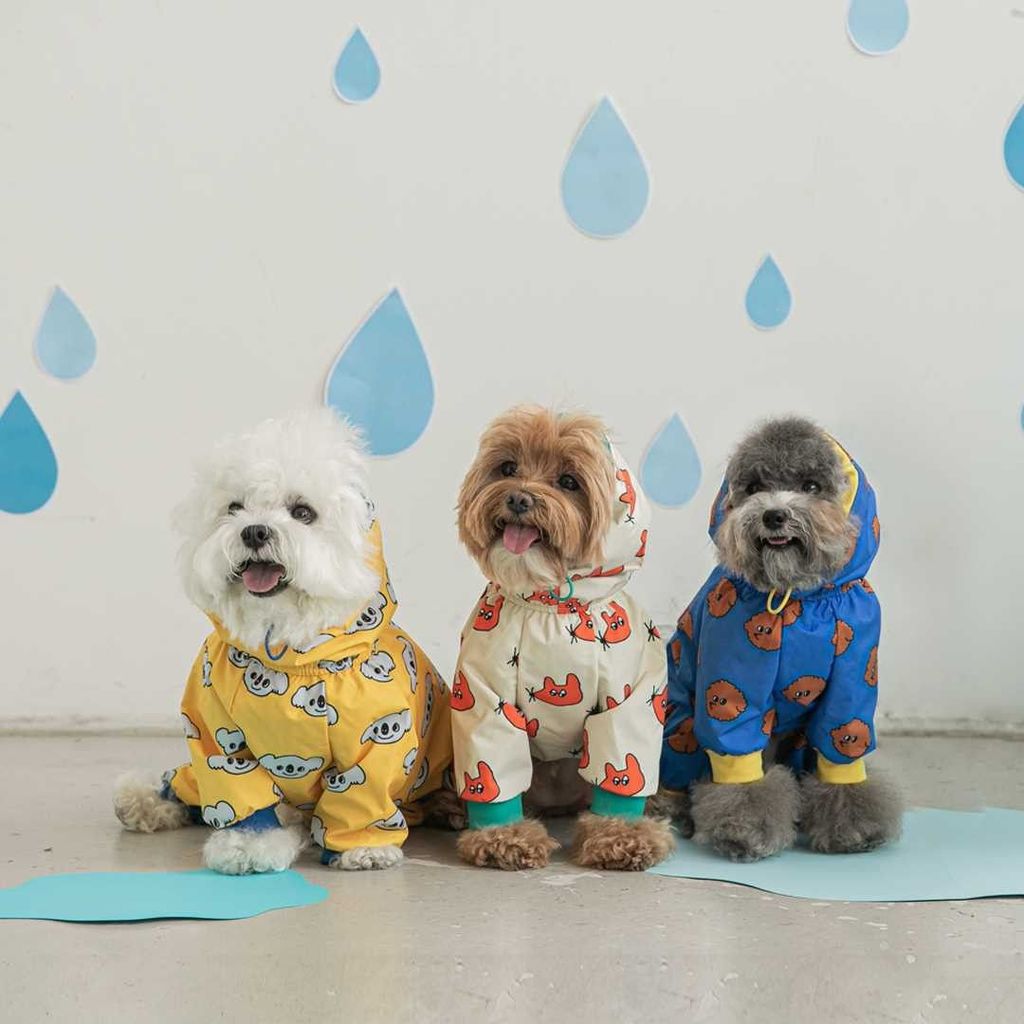 Coreano coreano cão de estimação impermeável All-Inclusive capa de chuva Poncho médio pequeno cão quatro patas com capuz
