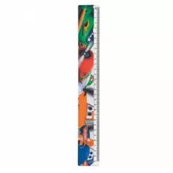 REGUA 30CM PLANES