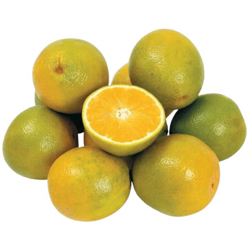 Laranja Pera Alfacitrus