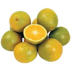 Laranja Pera Alfacitrus
