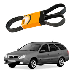 Correia Alternador Xsara Break 1.6 16v 2001 A 2005