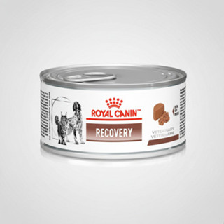 Ração Úmida para Gatos e Cachorros Adultos Royal Canin Recovery 195g Veterinary Diet Proteína 12,7% em Oferta na Shopee