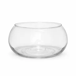 Vaso Vidro Redondo Baixo Terrário Décor Ikebana Transparente