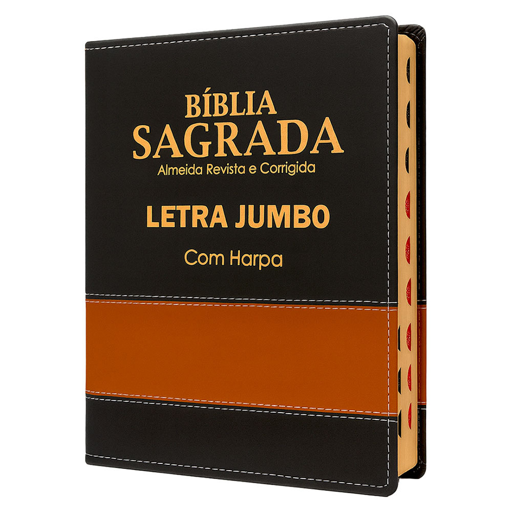Bíblia Jumbo Luxo Preta E Caramelo Bicolor Fácil Leitura