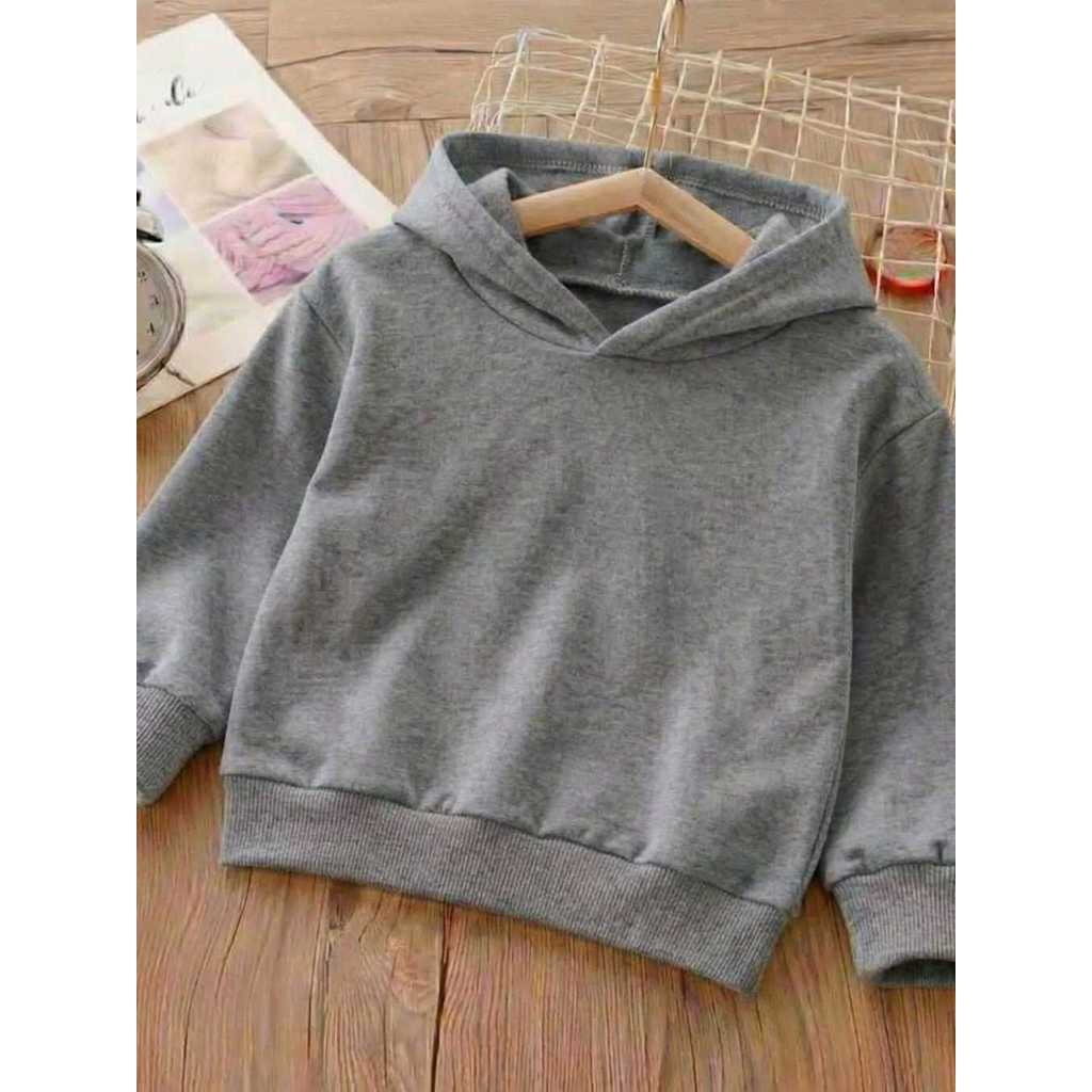 Blusa Moletom Felpado -Casaco com capuz Infantil para meninos meninas- Do P a 5 anos- Sem estampa.