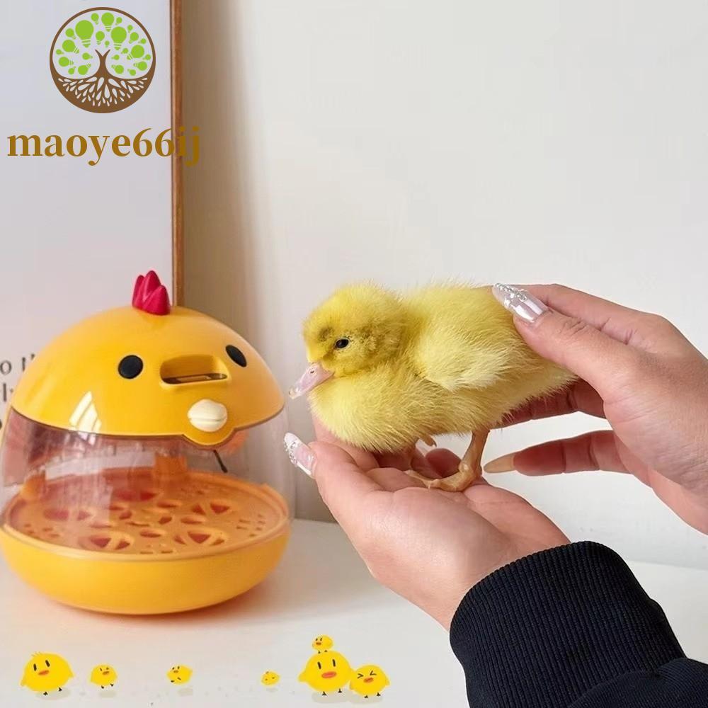 Incubadora De Ovos MAOYE66 , Com Controle De Umidade E Baixo Ruído | Automática De Aves Temperatura