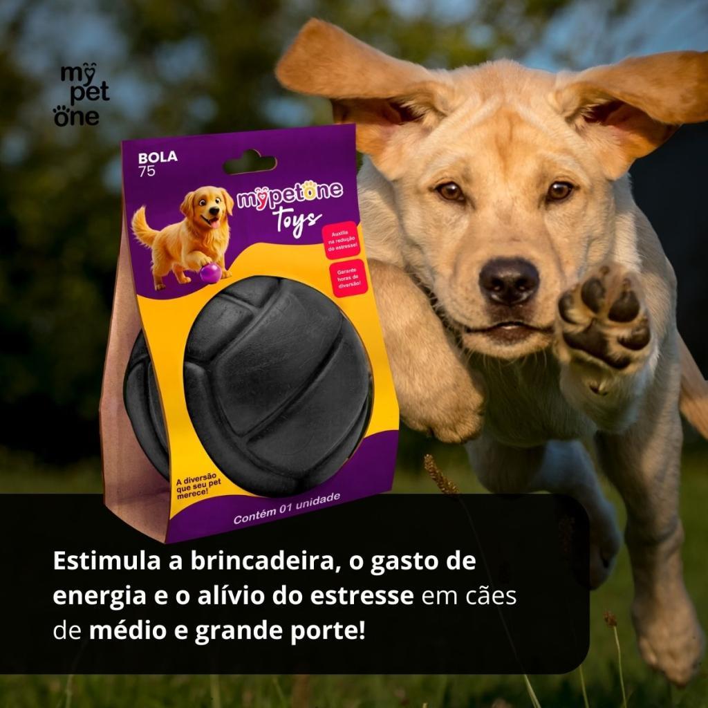 2 Bola Lisa MACIÇA MyPetOne Black 75mm Brinquedo RESISTENTE Para Cães — imagem 2 de 2