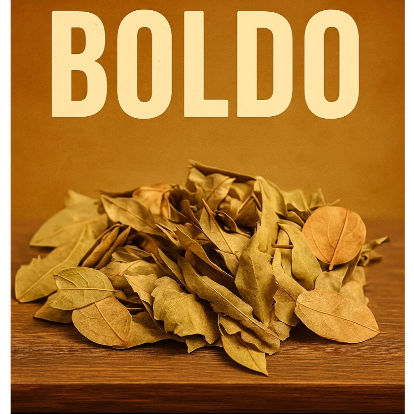 Boldo em Folha Desidratada 100g - 250g - 500g - Chá Digestivo Natural