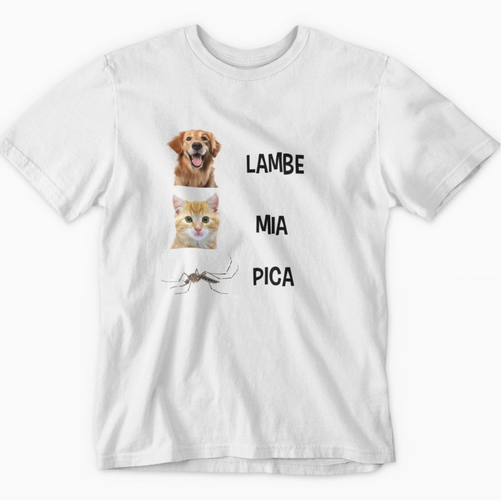 Camiseta Carnaval 2026 Camisa Folia Lambe Mia Pica Humor Plus Size Blusa 1000 %Algodão Envio Rápido
