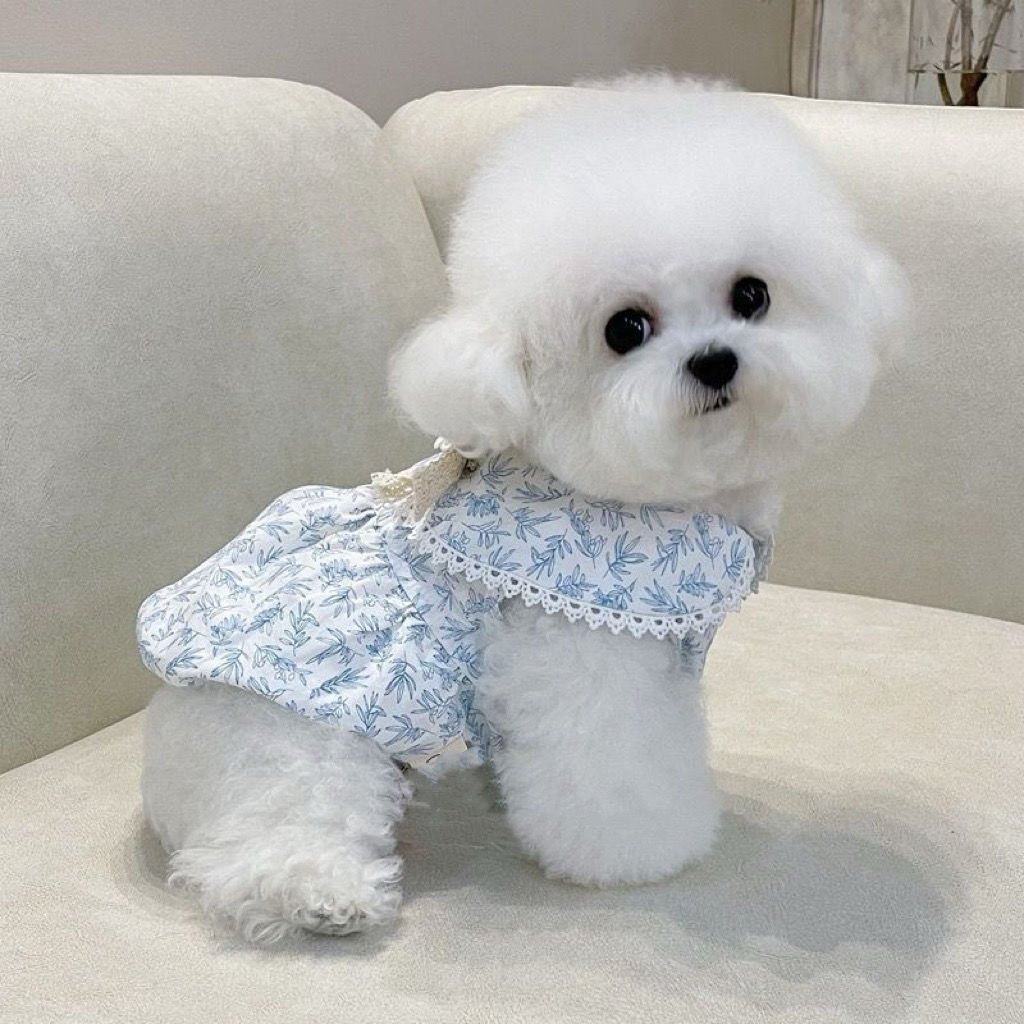 2025 Brasil Verão Novo Estilo Saia de Fada para Animais de Estimação Francês Floral Estilo Fino com Fivela de Tração Des