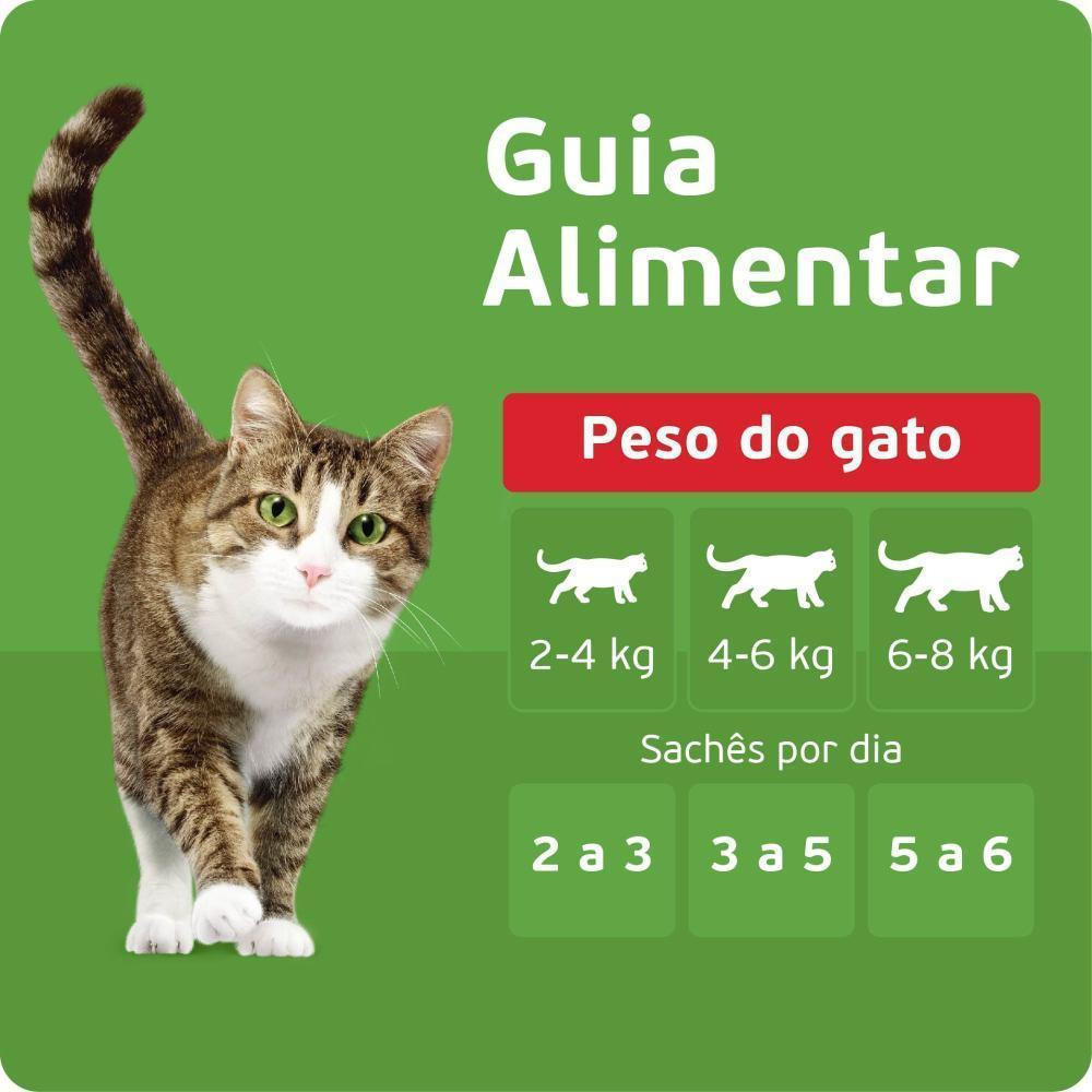 Kit Ração Úmida Peixe ao Molho para Gatos Adultos 24 Unidades Kitekat Sachê