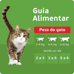 Kit Ração Úmida Peixe ao Molho para Gatos Adultos 24 Unidades Kitekat Sachê