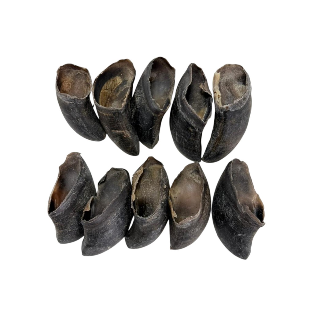 Opaparico Casco Búfalo Mordedor Natural - 10un