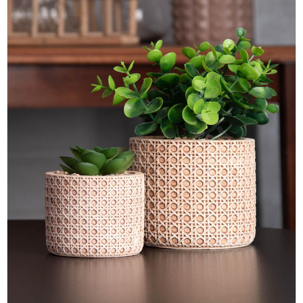 Cachepot Wolff de Cerâmica com Suculenta Treliça 7,5cm em Oferta na Shopee