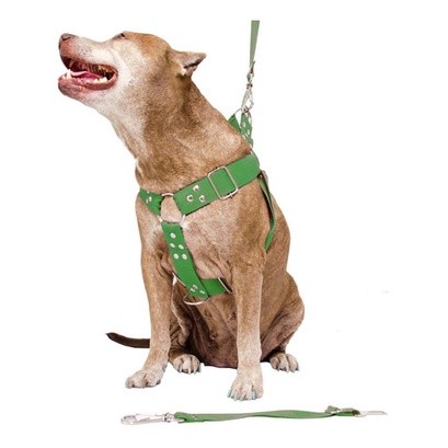 Peitoral Cachorro Com Guia E Adaptador Pit Bull Rottweiler
