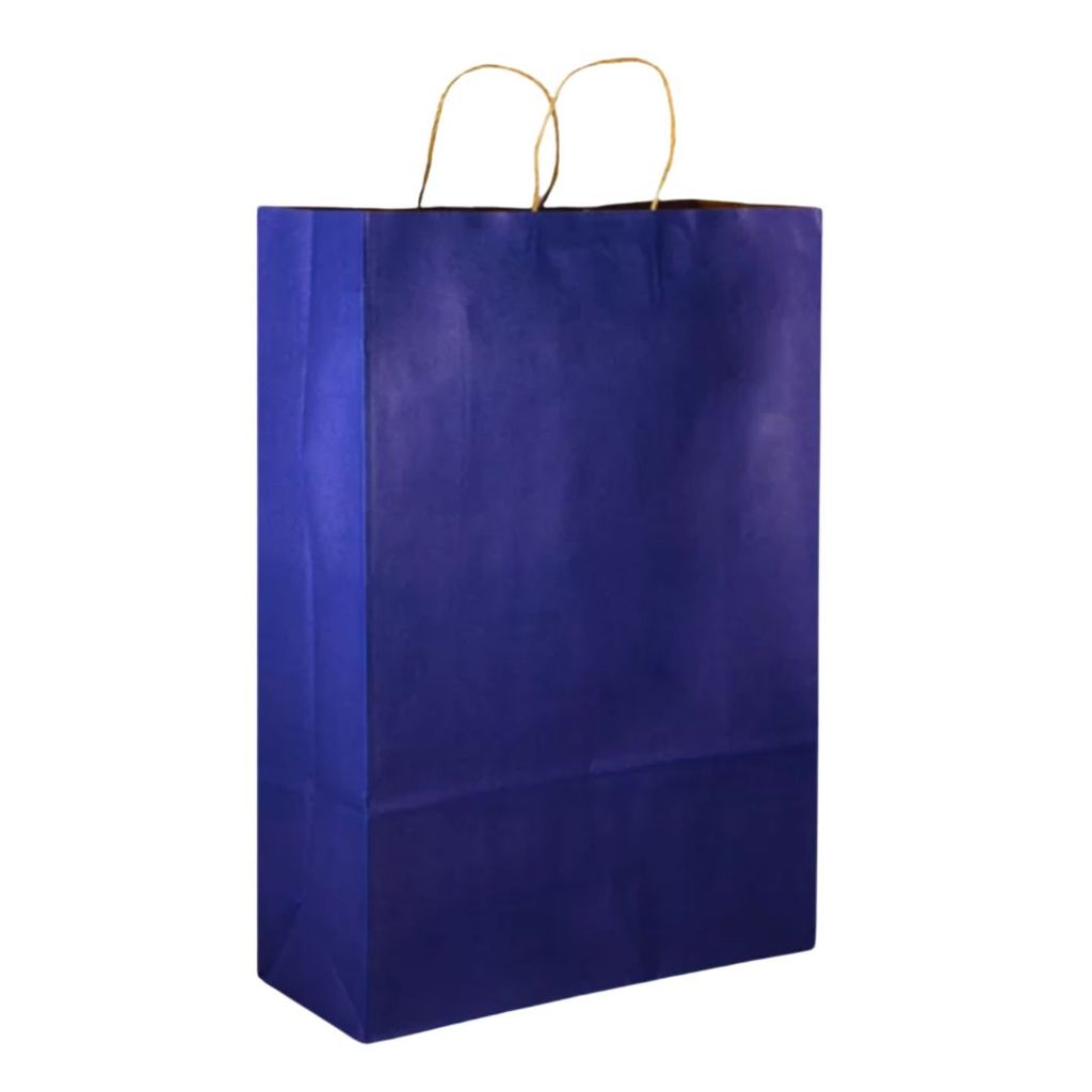 Sacola Kraft Papel Colorida 25 Unidades Tamanho P Bolsa KIT BARATO